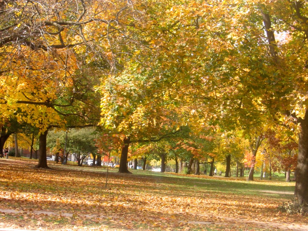  Queens Park, Toronto