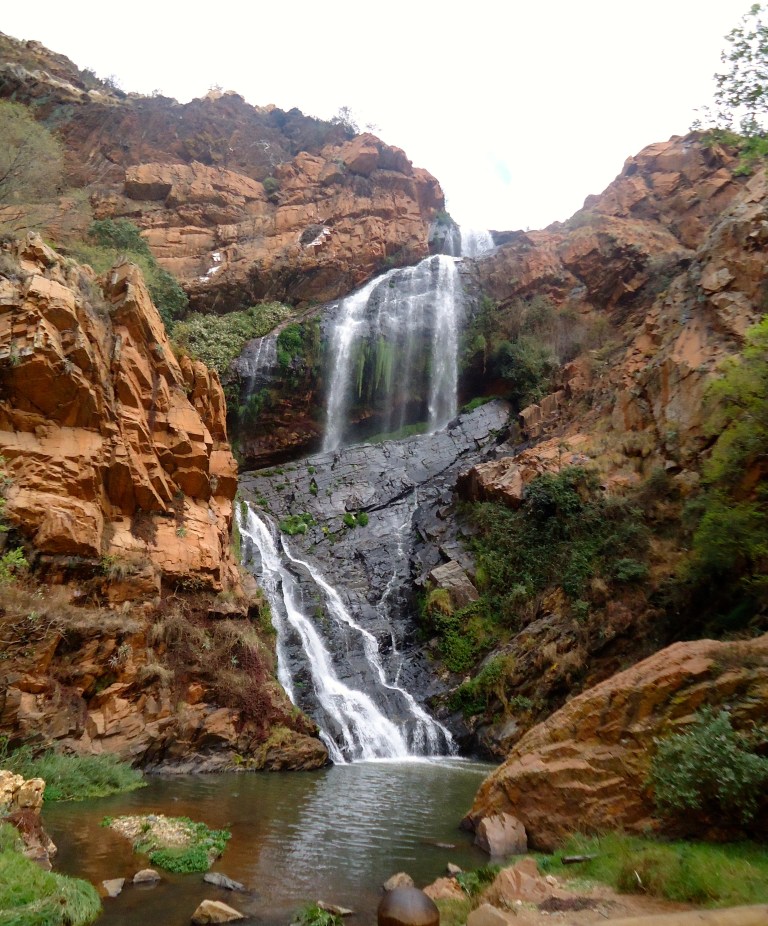Witpoortjie waterfall , Walter Sisulu National Botanical Gardens (Joburg, Sept 2015)