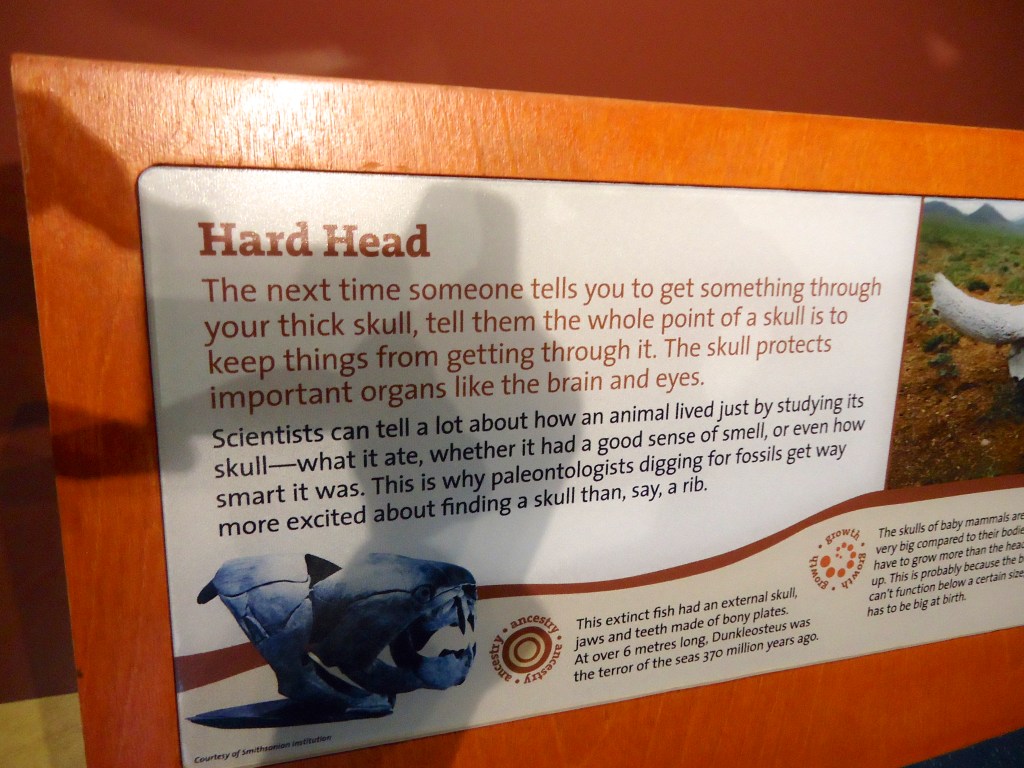 "The Golden Son" is a heavy-handed novel ( Scienceworld, Vancouver BC)